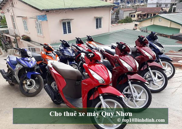 Top 7 Địa chỉ cho thuê xe máy uy tín và chất lượng nhất tại Quy Nhơn Bình  Định  ALONGWALKER