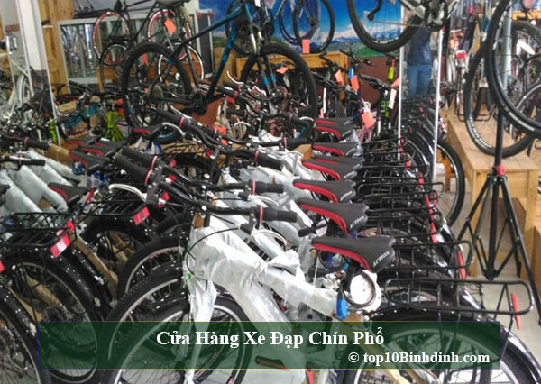 Địa chỉ siêu thị phân phối xe đạp điện thể thao ở Quy nhơn  Bình toan đáng tin tưởng  hóa học  lượng